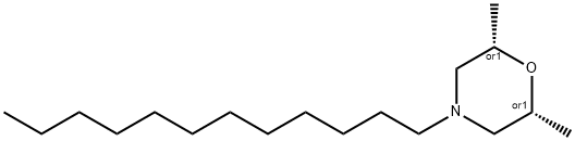 cis-4-dodecyl-2,6-dimethylmorpholine Struktur