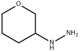 1-(tetrahydro-2H-pyran-3-yl)hydrazine Struktur