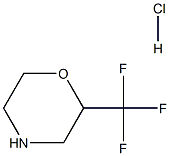 2-Trifluoromethyl-morpholine hydrochloride Struktur