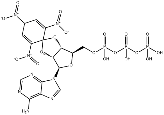 2',3'-O-(2,4,6-Trinitro-2,5-cyclohexadien-1-ylidene)adenosine 5'-(tetrahydrogen triphosphate) Structure