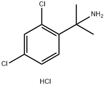 2-(2,4-二氯苯基)丙基-2-胺盐酸盐, 1216497-60-7, 结构式