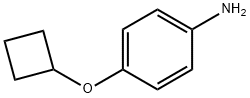 4-(Cyclobutyloxy)benzenamine Struktur