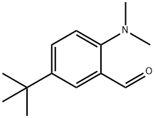5-tert-butyl-2-(dimethylamino)benzaldehyde Structure