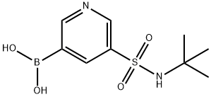 B-[5-[[(1,1-DIMETHYLETHYL)AMINO]SUL FONYL]-3-PYRIDINYL]BORONIC ACID, 1314987-50-2, 结构式