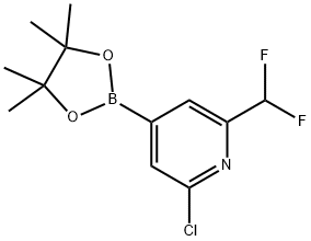 2-氯-6-(二氟甲基)-4-(4,4,5,5-四甲基-1,3,2-二氧硼杂环戊烷-2-基)吡啶,1321518-08-4,结构式