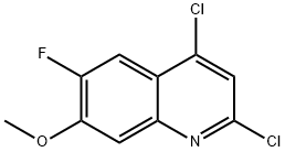 1606150-95-1 2,4-Dichloro-6-fluoro-7-methoxy-quinoline