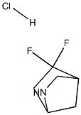 5,5-Difluoro-2-Aza-Bicyclo[2.2.1]Heptane Hydrochloride, 1783656-28-9, 结构式