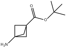 TERT-BUTYL 3-AMINOBICYCLO[1.1.1]PENTANE-1-CARBOXYLATE, 1935523-60-6, 结构式