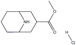 methyl exo-9-azabicyclo[3.3.1]nonane-3-carboxylate hydrochloride Structure