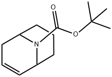 TERT-BUTYL 9-AZABICYCLO[3.3.1]NON-2-ENE-9-CARBOXYLATE 结构式