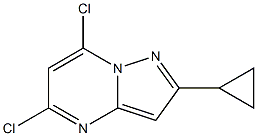 893447-41-1 5,7-二氯-2-环丙基吡唑并[1,5-A]嘧啶
