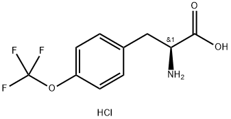 (S)-2-Amino-3-(4-(trifluoromethoxy)phenyl)propanoic acid hydrochloride Struktur