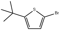 2-bromo-5-tert-butylthiophene Structure