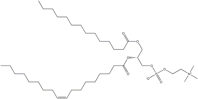 1-myristoyl-2-oleoyl -sn-glycero-3-phosphocholine