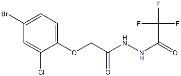 N'-[(4-bromo-2-chlorophenoxy)acetyl]-2,2,2-trifluoroacetohydrazide Struktur