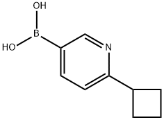 (6-cyclobutylpyridin-3-yl)boronic acid 化学構造式