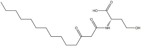 N-(3-OXOTETRADECANOYL)-L-HOMOSERINE Struktur
