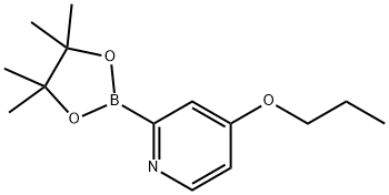 4-propoxy-2-(4,4,5,5-tetramethyl-1,3,2-dioxaborolan-2-yl)pyridine Struktur