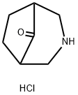 3-Azabicyclo[3.2.1]octan-8-one hydrochloride Struktur
