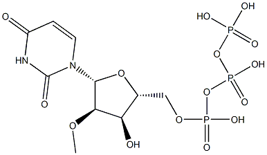 5'-(tetrahydrogen triphosphate), 2'-O-methyl-Uridine Struktur
