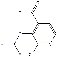 2-Chloro-3-(difluoromethoxy)isonicotinic acid Structure