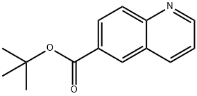 403605-43-6 tert-butyl quinoline-6-carboxylate
