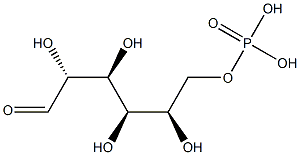 Glucose-6-Phosphate Assay Kit
		
	 Struktur