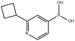 (2-环丁基吡啶-4-基)硼酸, 2225176-13-4, 结构式