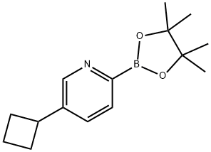 5-cyclobutyl-2-(4,4,5,5-tetramethyl-1,3,2-dioxaborolan-2-yl)pyridine Structure