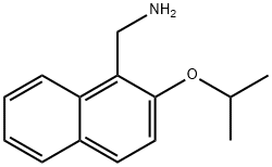 2-(丙烷-2-氧基)萘-1-基]甲胺,1049030-20-7,结构式