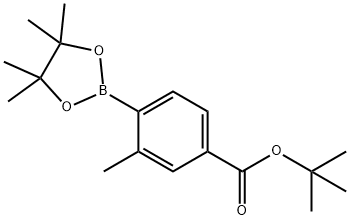 tert-butyl 3-methyl-4-(4,4,5,5-tetramethyl-1,3,2-dioxaborolan-2-yl)benzoate 化学構造式