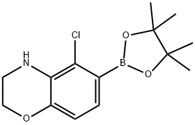 5-Chloro-6-(4,4,5,5-tetramethyl-[1,3,2]dioxaborolan-2-yl)-3,4-dihydro-2H-benzo[1,4]oxazine Structure