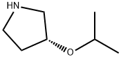 (R)-3-异丙氧基吡咯烷, 1187932-43-9, 结构式