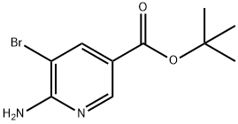 6-Amino-5-bromo-nicotinic acid tert-butyl ester Struktur