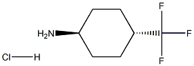 trans-4-Trifluoromethyl-cyclohexylamine hydrochloride Structure