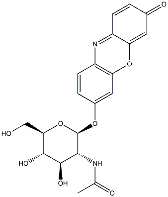 7-[[2-(Acetylamino)-2-deoxy-beta-D-glucopyranosyl]oxy]-3H-phenoxazin-3-one Struktur