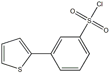 3-(thiophen-2-yl)benzene-1-sulfonyl chloride 结构式