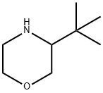 3-tert-Butyl-morpholine Structure