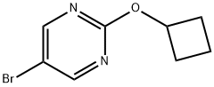 5-溴-2-环丁氧基嘧啶, 1260833-40-6, 结构式