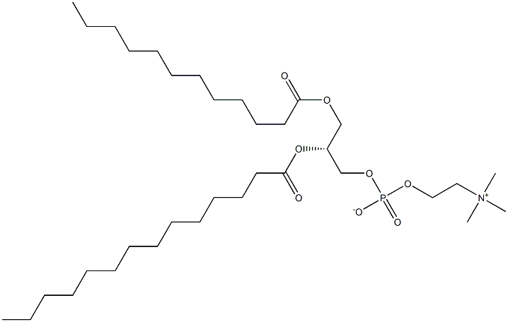 1-lauroyl-2-myristoyl -sn-glycero-3-phosphocholine Struktur