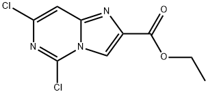 ethyl 5,7-dichloroimidazo[1,2-c]pyrimidine-2-carboxylate|5,7-二氯咪唑并[1,2-C]嘧啶-2-甲酸乙酯