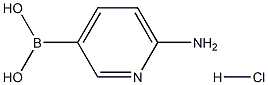 (6-Aminopyridin-3-yl)boronic acid hydrochloride