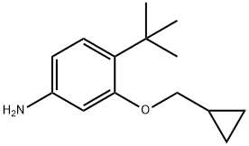 4-tert-butyl-3-(cyclopropylmethoxy)aniline Structure