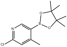 2-氯-4-甲基-5-(四甲基-1,3,2-二氧杂硼烷-2-基)吡啶, 1382851-54-8, 结构式