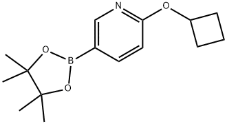 2-(cyclobutyloxy)-5-(4,4,5,5-tetramethyl-1,3,2-dioxaborolan-2-yl)pyridine Structure
