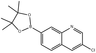 3-Chloro-7-(4,4,5,5-tetramethyl-1,3,2-dioxaborolan-2-yl)quinoline Struktur