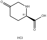 (2R)-5-Oxo-piperidine-2-carboxylic acid hydrochloride