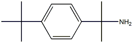 2-(4-(叔丁基)苯基)丙-2-胺,17797-09-0,结构式