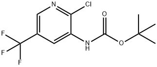2-クロロ-5-(トリフルオロメチル)ピリジン-3-イルカルバミン酸TERT-ブチル 化学構造式