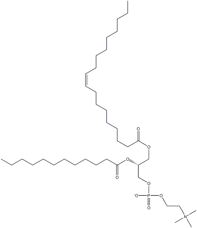 1-oleoyl-2-lauroyl -sn-glycero-3-phosphocholine
